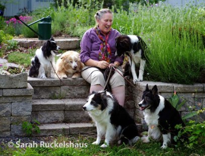 Barbara-and-Dogs