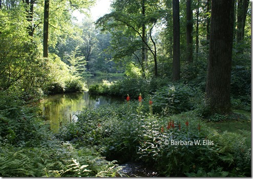 Mt.-Cuba-Ponds Mt.-Cuba-Ponds